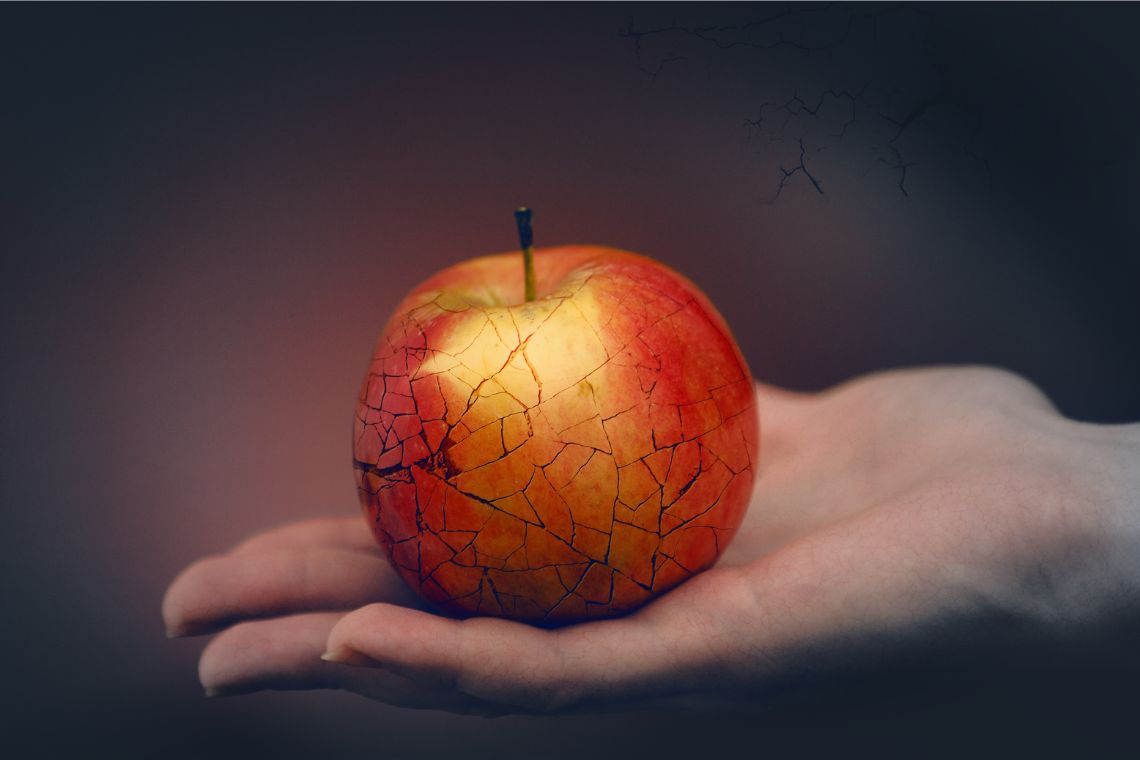 apple of discord canva by Zimogljad